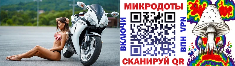 Галлюциногенные грибы мухоморы  Вышний Волочёк 